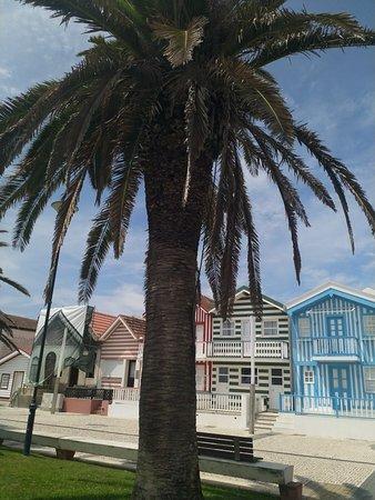 A Praia do Tubarao